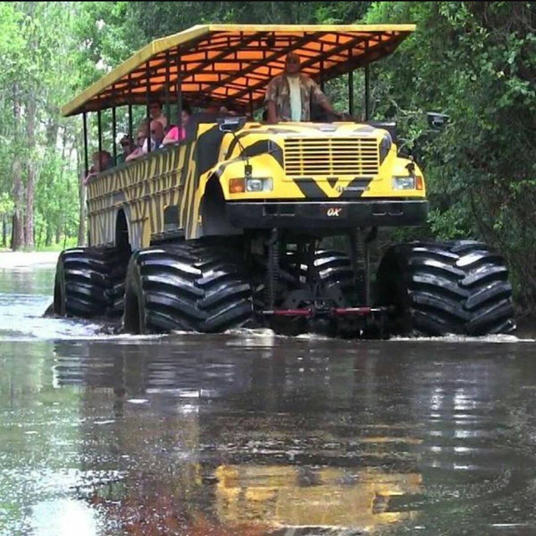 Monster Truck Adventure